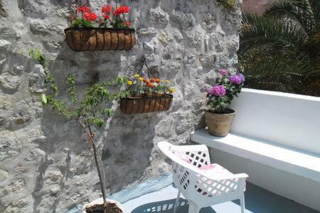 Villa Urbana, Old Town Budva