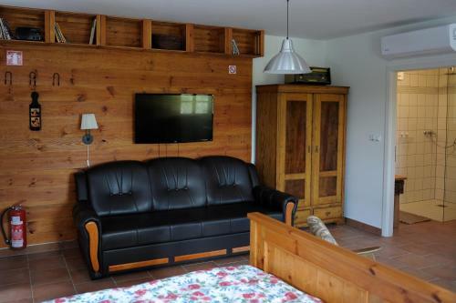 Apartmaji Gospoud Srmak
