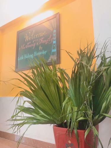 Little Halong Homestay