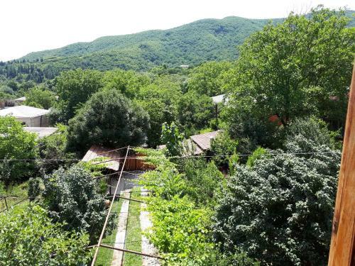 Bed & Breakfast Wine House Kniaz
