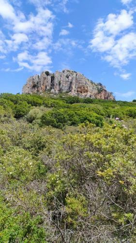 Apartamento Accogliente Bilocale Tra Mare E Monti