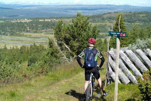 �rterst�len Hytter
