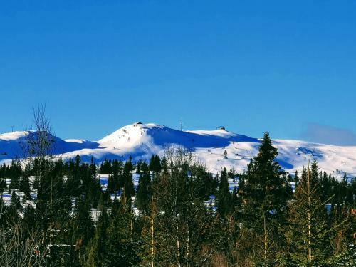 �rterst�len Hytter