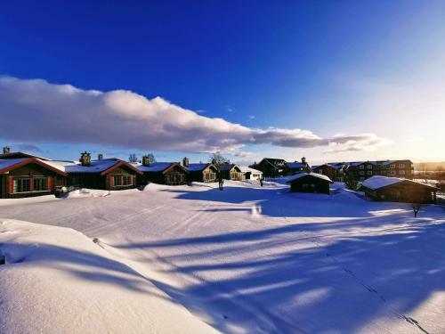 �rterst�len Hytter