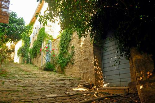 Ruine-motovun Kh