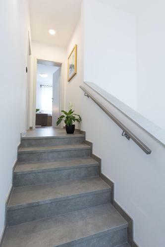 Apartamento ?ardin