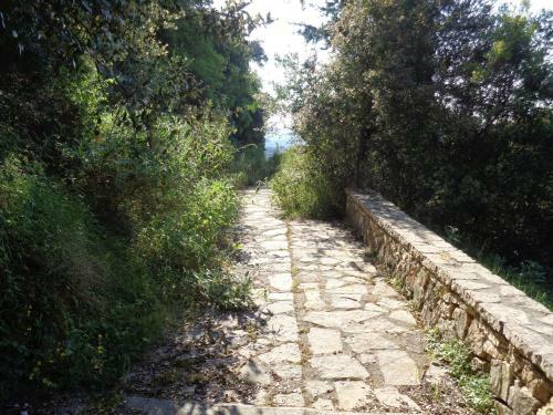 Agroturismo Harry's Retreat
