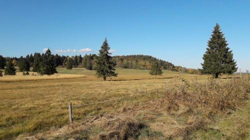 B�hmerwald Angerholz