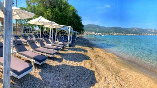 Apartment Holiday Salamina
