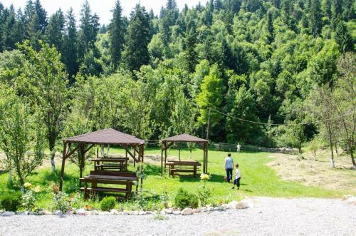 Agroturismo Casa Ursului