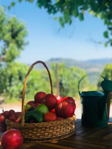 Bed & Breakfast Quinta Pec�ga - Al