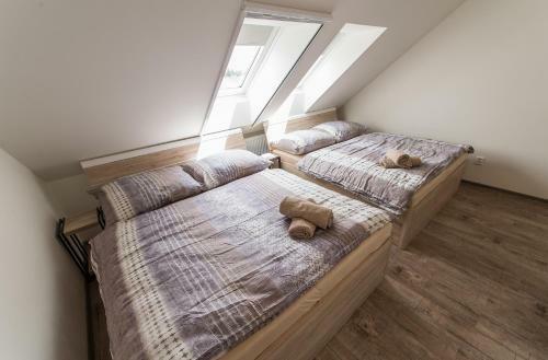 Apartm�ny Agave