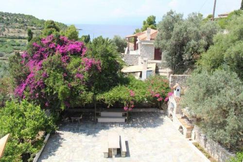 Villaconte Luxury Apartments
