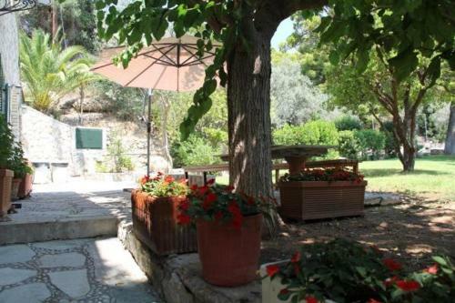 Villaconte Luxury Apartments