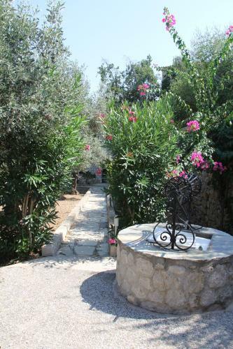 Villaconte Luxury Apartments
