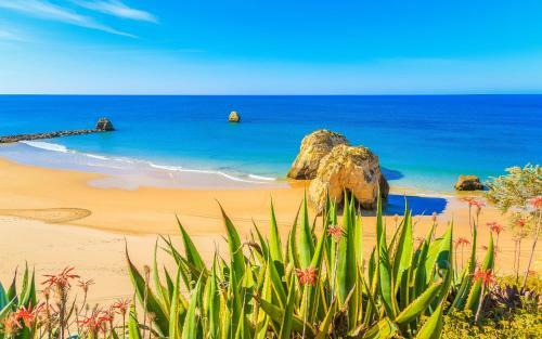 Apartamento Lovely Oceanview Beach House