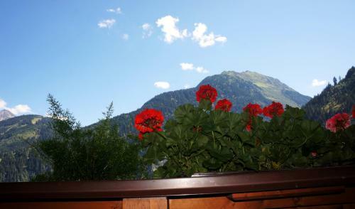 Apartamento Roasnerhof