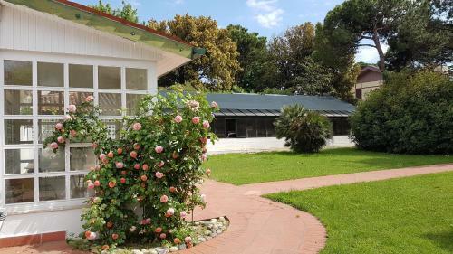Bed & Breakfast Le Serre Del Lido