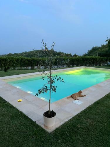 Bed & Breakfast Il Ristoro
