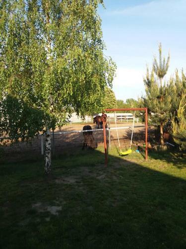 Domek Letniskowy - ?wi?tne Nad Jeziorem Wilczy?skim