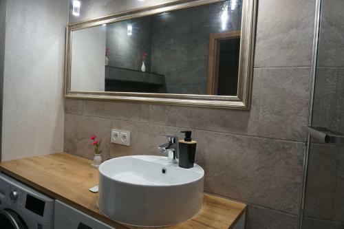 Apartament Nowe Hallerowo