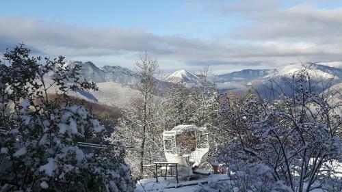 Bed & Breakfast Alla Tana Del Bianconiglio