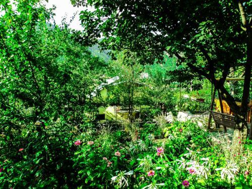 Hostal Bacho,s Cottage