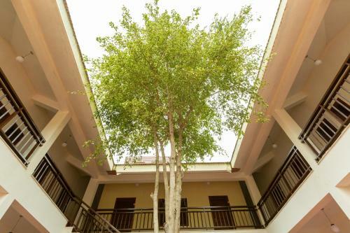 Kstdc Hotel Mayura Yagachi, Belur