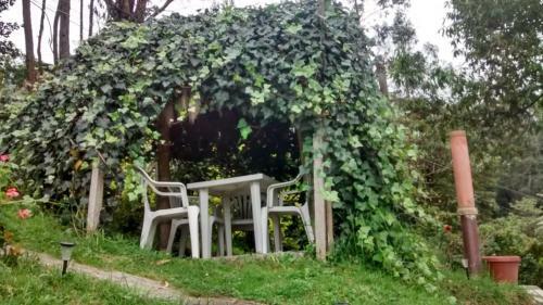 Lodge Hospeder�a Sativa