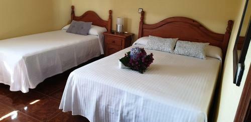 Hostal Hospedaje Vistamar