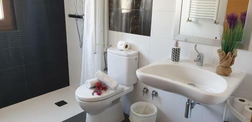 Apartamentos La Pradera De Isla