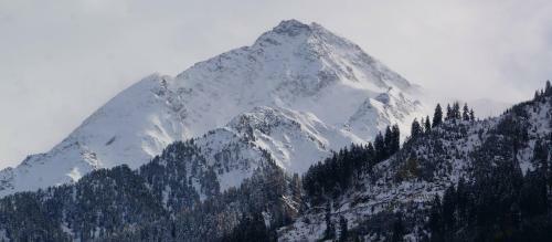 Apartamento Landhaus Seiringer