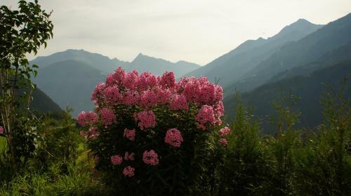 Apartamento Bergblick