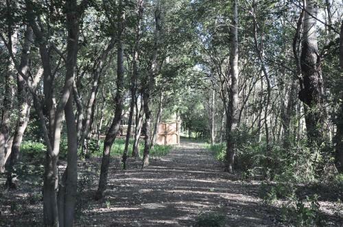 Lekoa Lodge