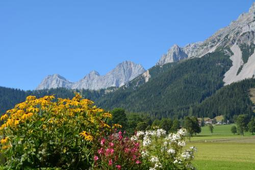 Agroturismo Forsterhof