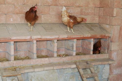 Agroturismo Cal Server�