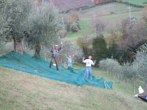 Agroturismo Casale Giuncheto