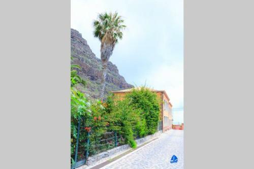Apartamento Tel�maco Blue