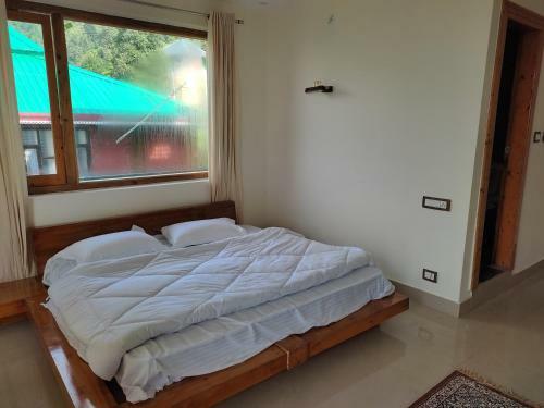 Albergue Madpackers Dharamkot Mcleod Ganj