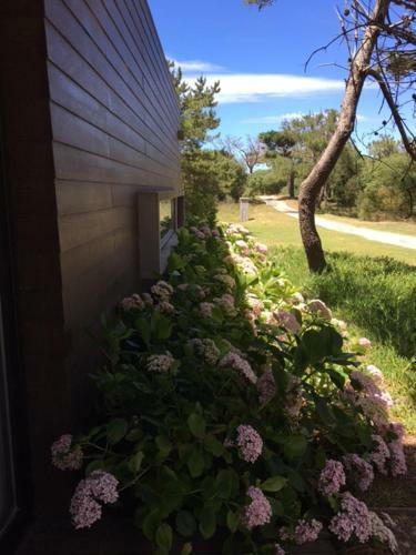 Casa Hortensias