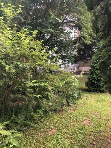 Szieszta Sz�fia Apartman