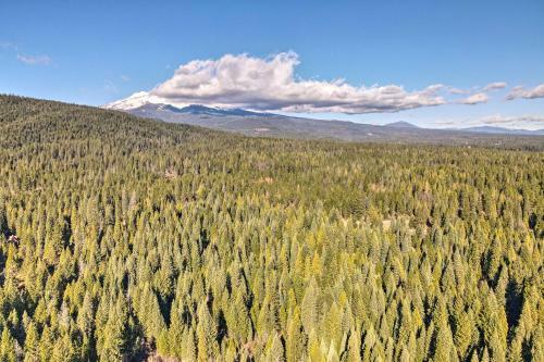 Mccloud Cabin With Wraparound Deck And Mtn Views!
