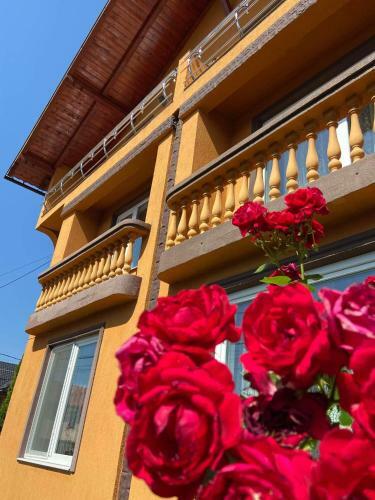 Hostal Pensiunea Montana Sapinta
