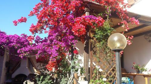Bed & Breakfast Angolo Verde