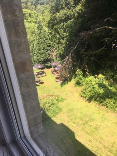 Salmon Leap Hotel