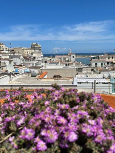Apartamento La Casaruccia