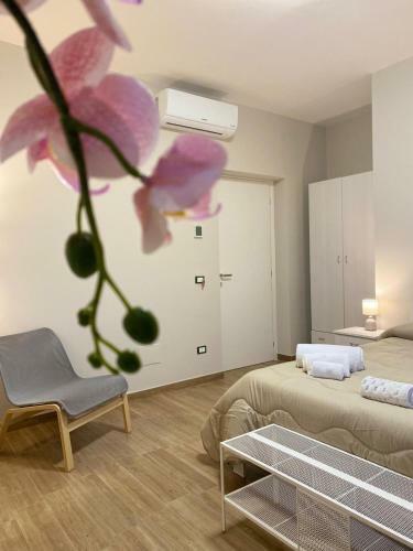 B&B Ercole