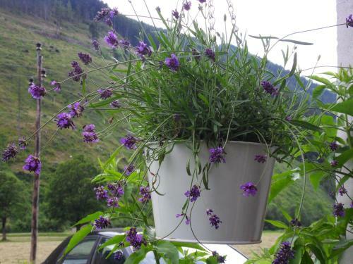Apartamento Sattlehnerhof