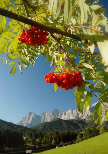 Hostal Alpenperle