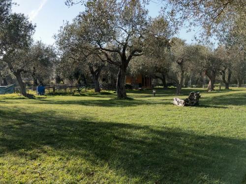 Apartamento Residenza Uliveto Su Contu